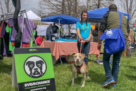 earth day pets adoption