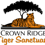 Crown Ridge Tiger Sanctuary