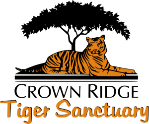Crown Ridge Tiger Sanctuary