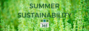 Summer Sustainability header