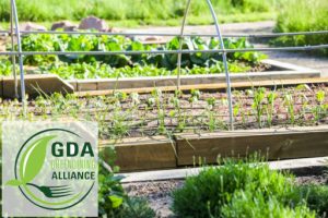 Sustainable Food System GDA