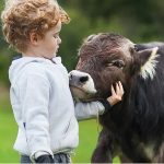 St. Louis Animal Rights Team