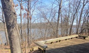 Possum Hollow view of lake