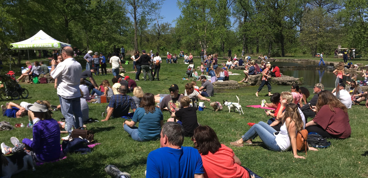Give STL background Festival photo