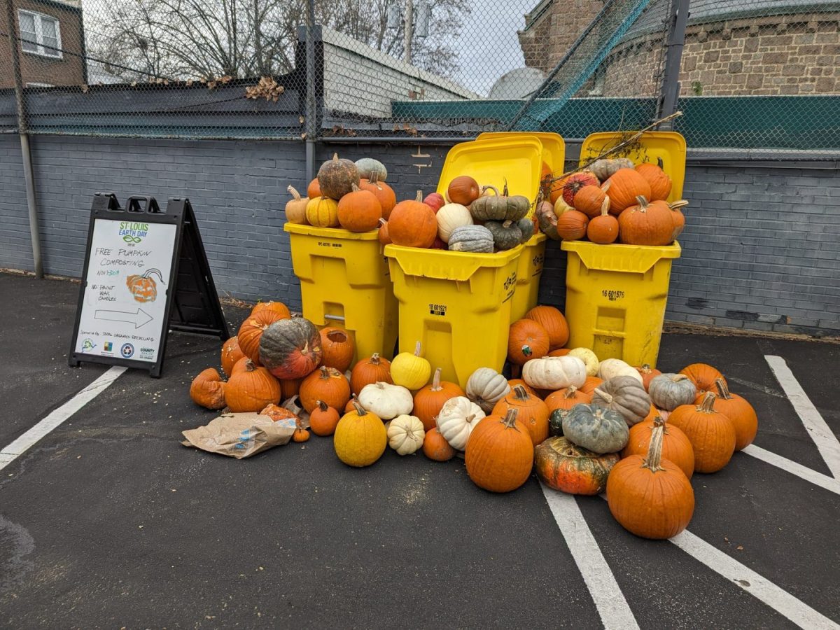 Pumpkin Composting