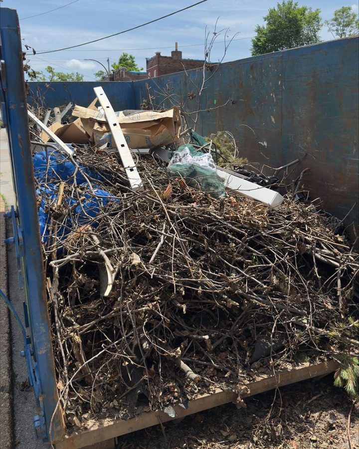 ejda-photo-11-small Collected garden waste photo