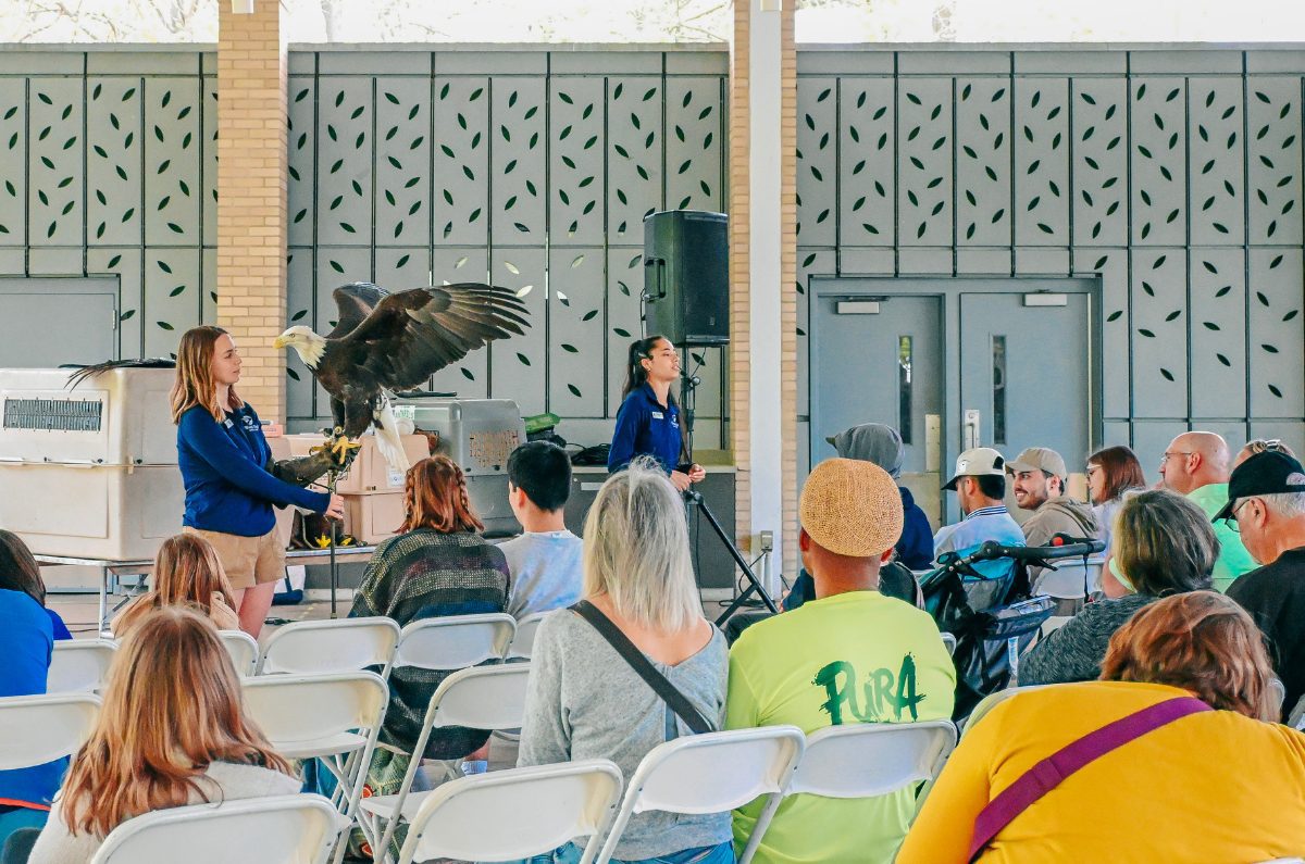 festival-2025-photo-1-resized-8 Wild Bird Show by World Bird Sanctuary at the St. Louis Earth Day Festival