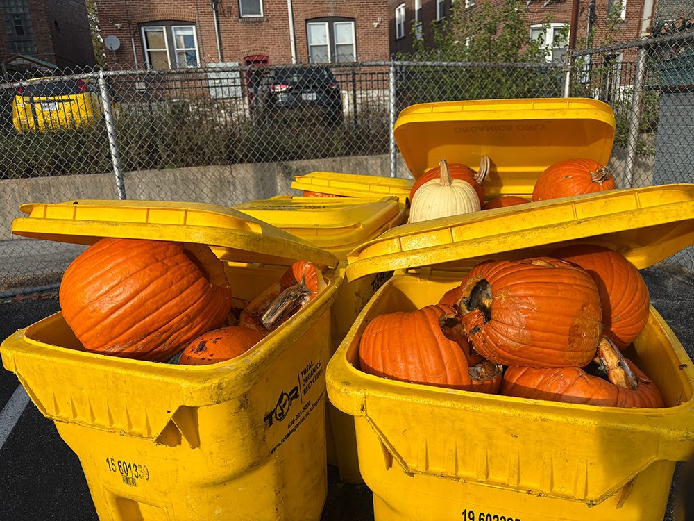rog-photo-3-small Pumpkin composting drive