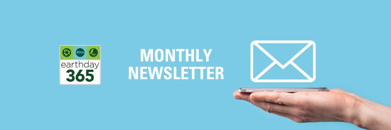 newsletter-button