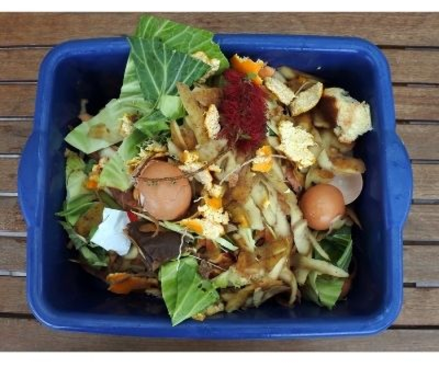 Compost Food Scraps earthday365